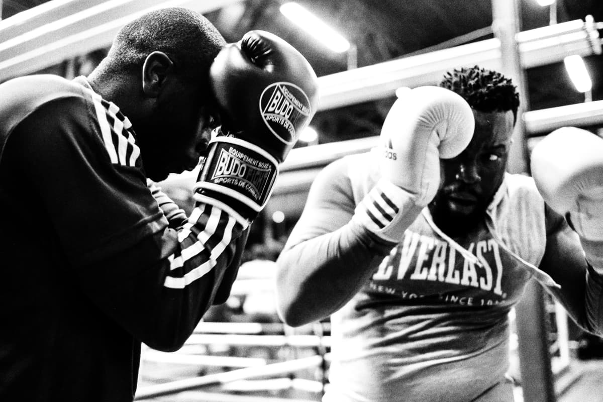 Sparring boxers