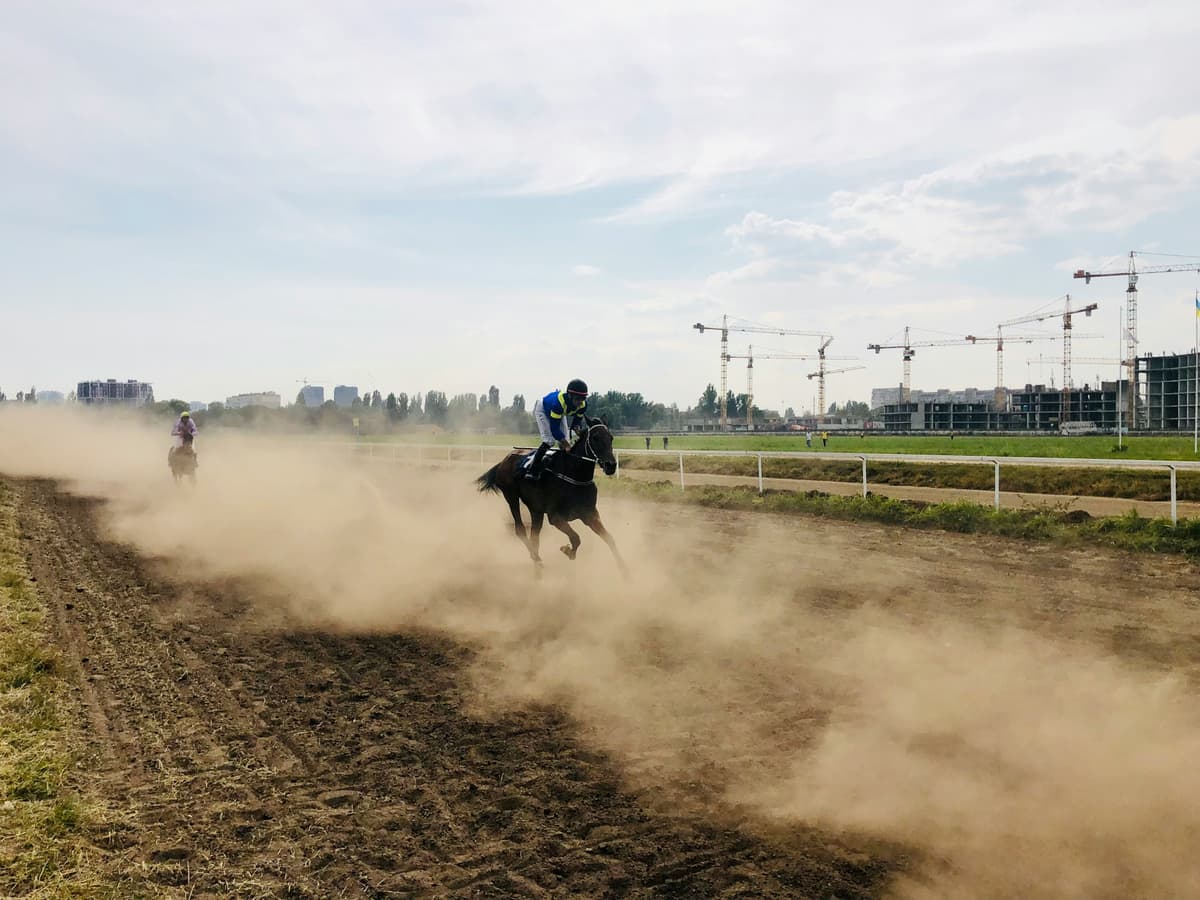 Horse racing track
