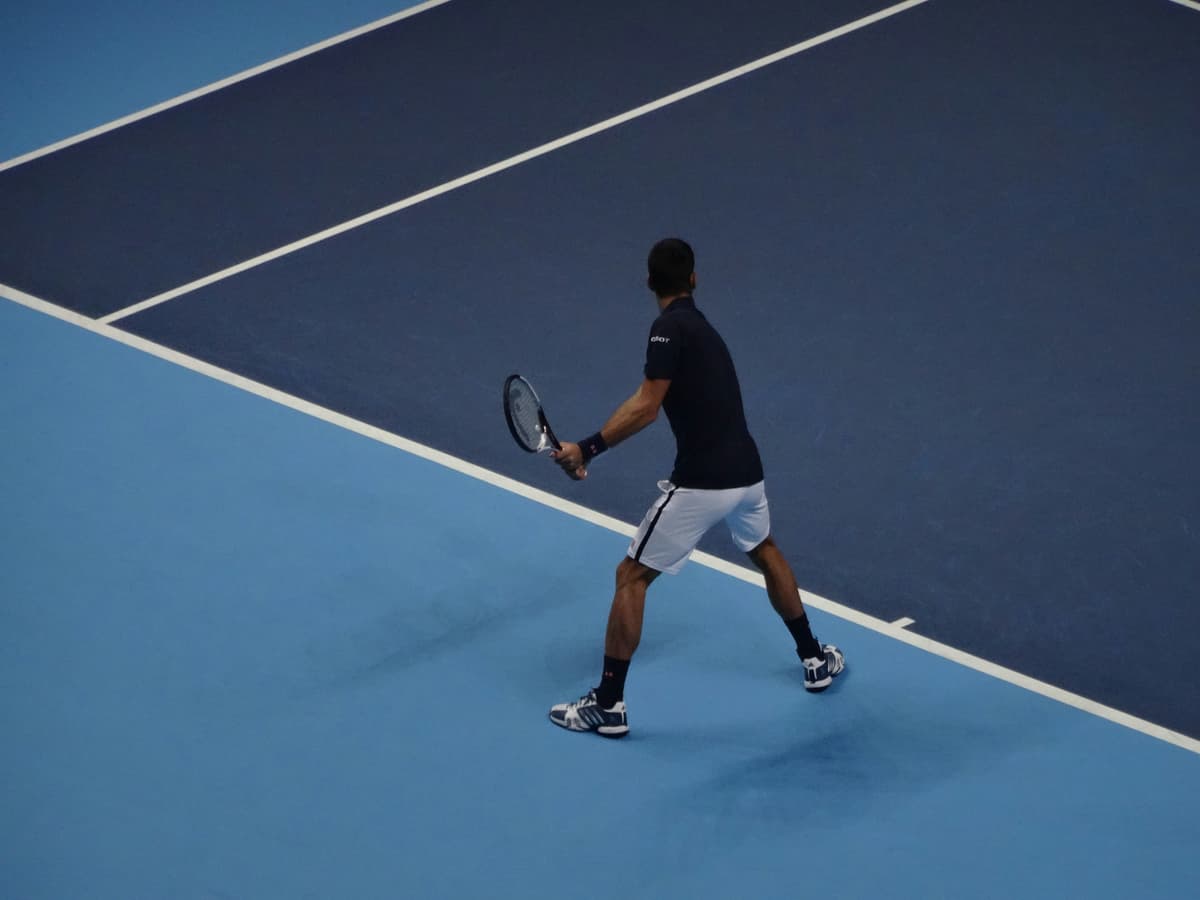 Djojovic playing tennis